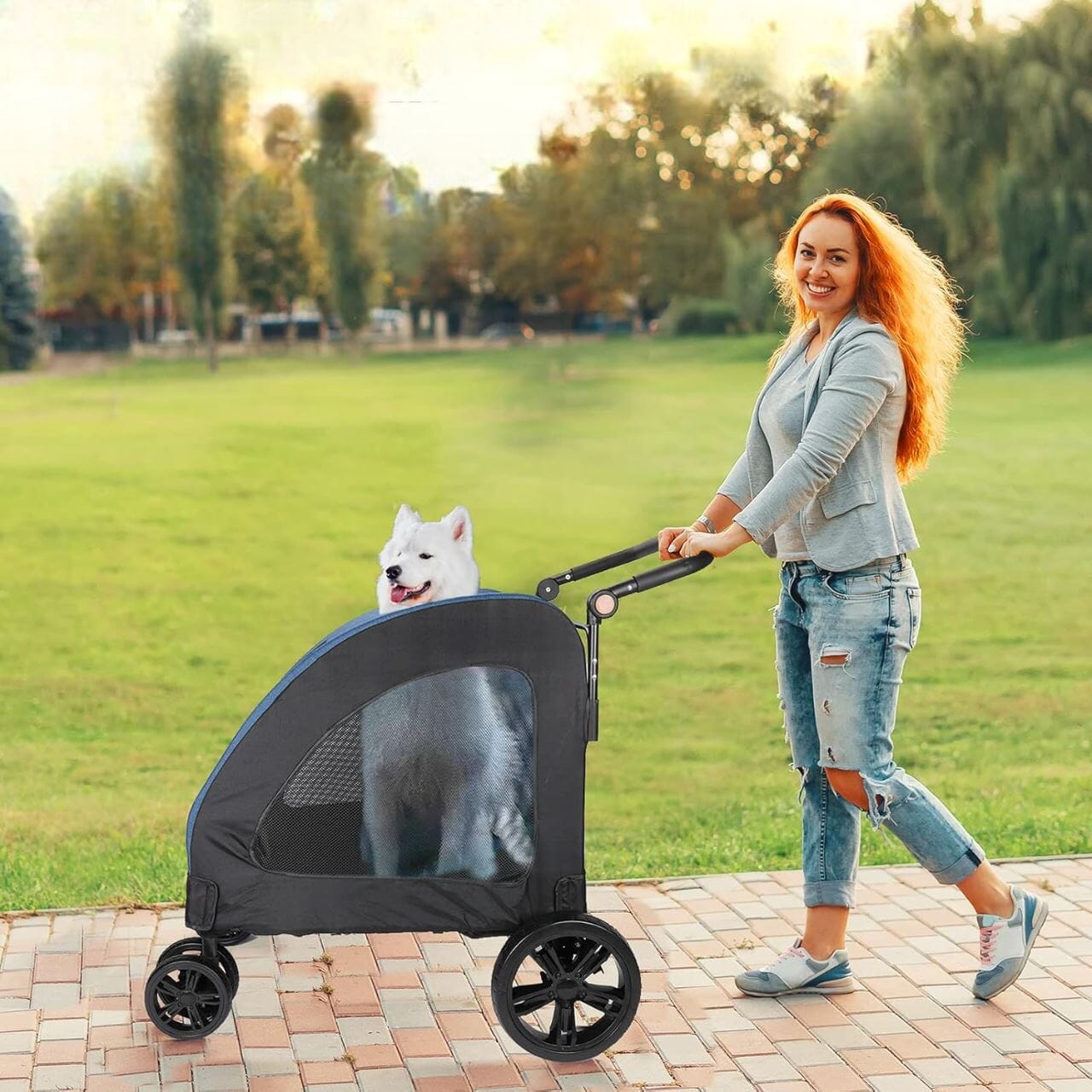 Poussette pour Chien - StrollyPet™ - Bleu - Les Pattes Nomades