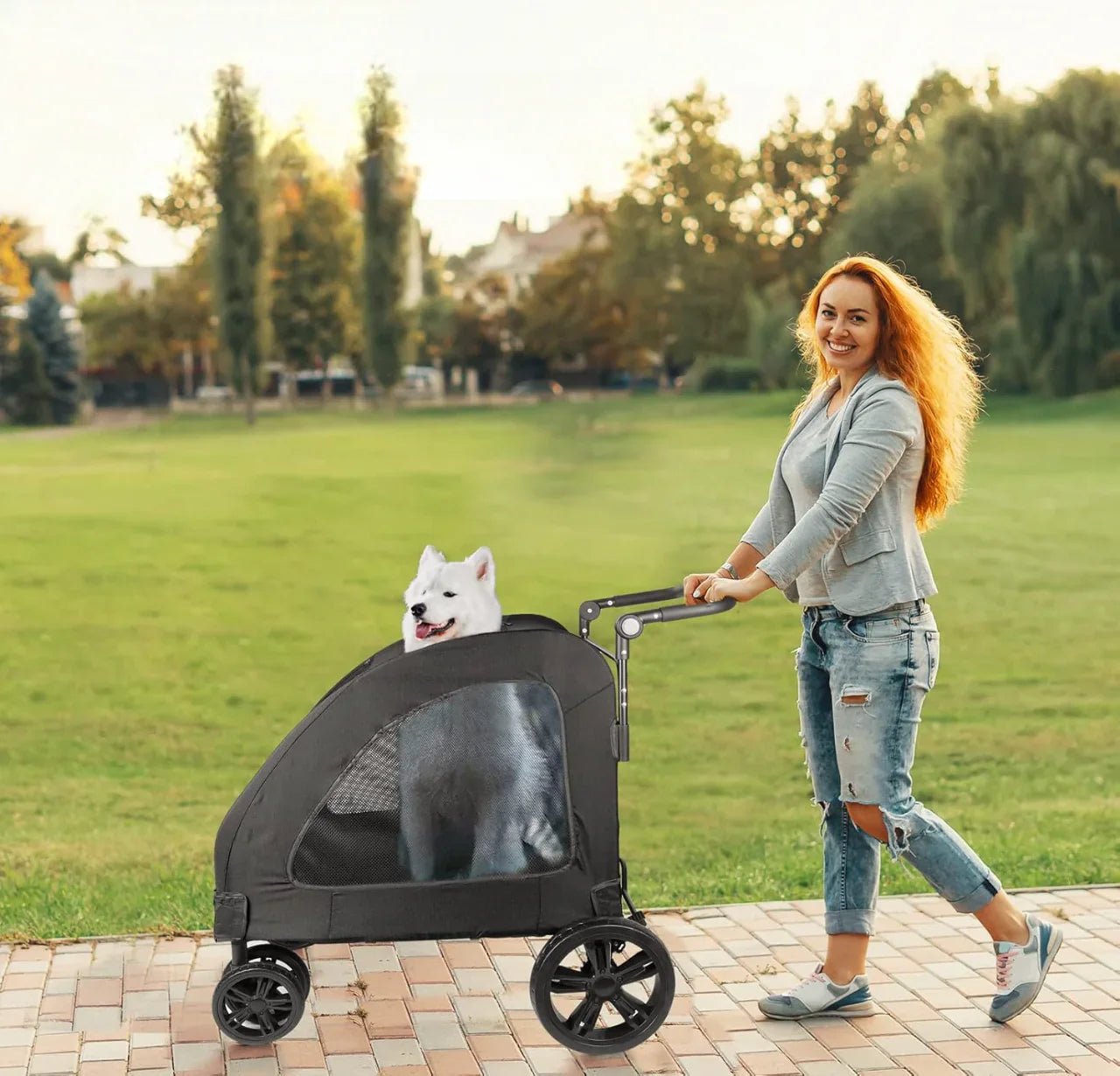 Poussette pour Chien - StrollyPet™ - Noir - Les Pattes Nomades