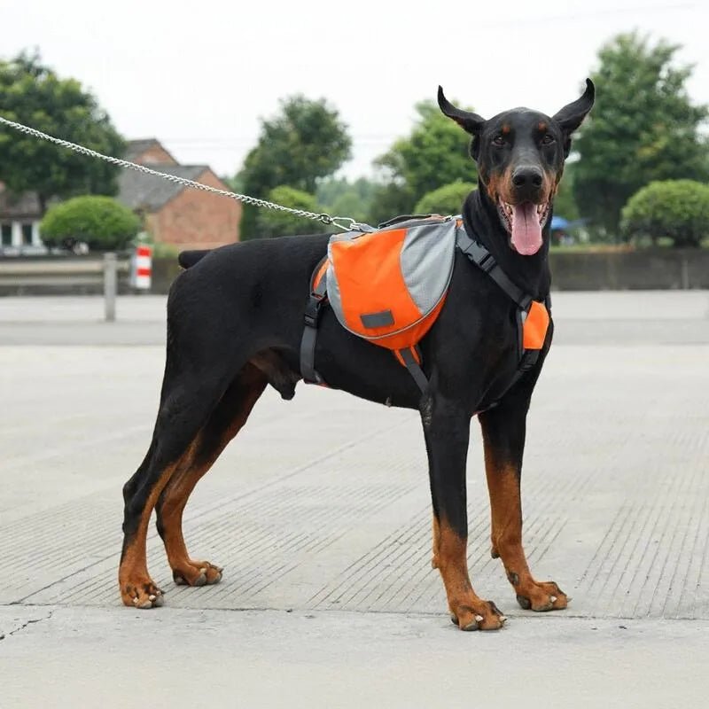 Sac de Voyage Chien - DogBackpack™ - Orange - Les Pattes Nomades