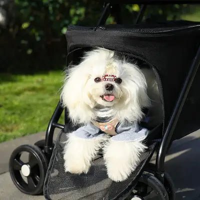 Poussette pour Chien - PetStroller™ - Noir - Les Pattes Nomades