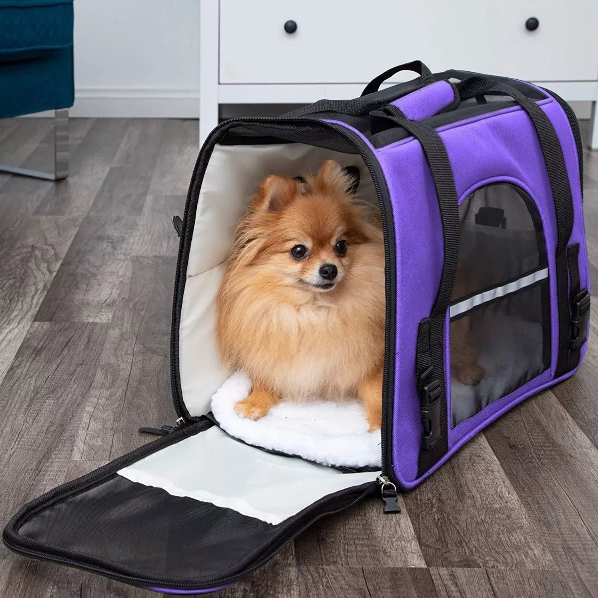 Sac de Transport pour Chien - DogCarrierBag™ - Violet - Les Pattes Nomades