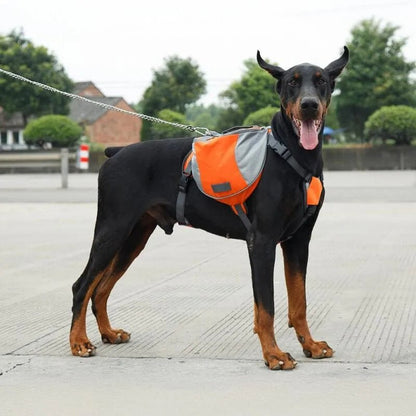 Sac de Voyage Chien - DogBackpack™ - Orange - Les Pattes Nomades